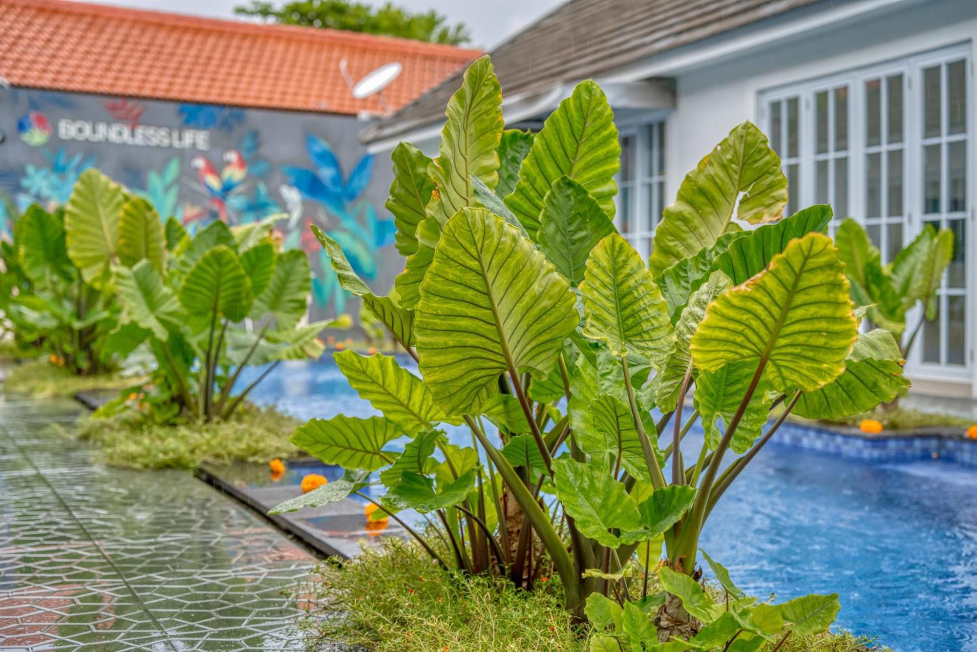 Apartemen 3bd Modern In With Bbq & Huge Shared Pool Sanur (Bali)